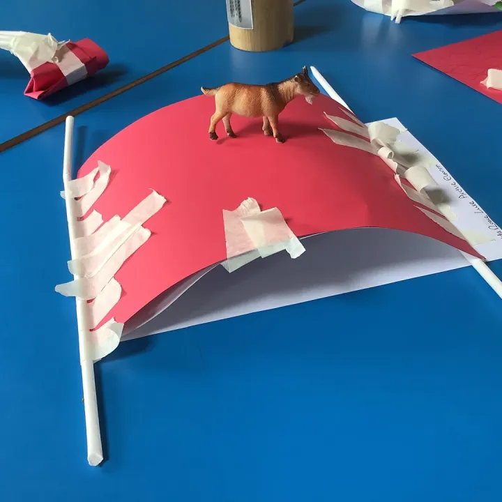 Pe