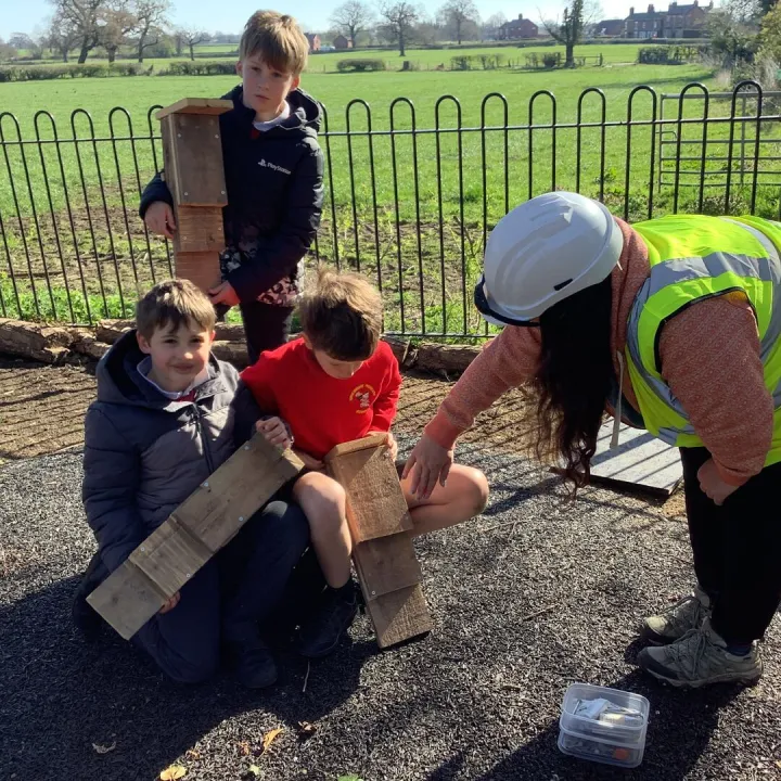 Bat boxes