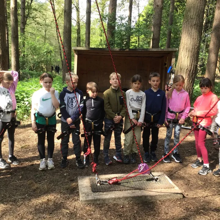 PGL 6