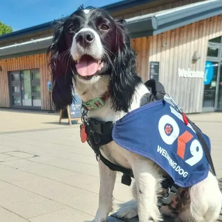 Delamere Op Poppy