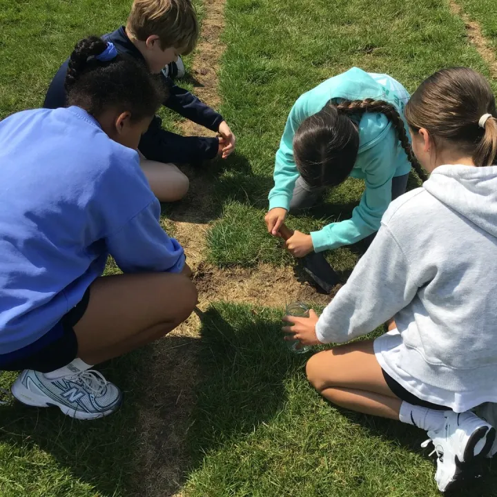 Soil2