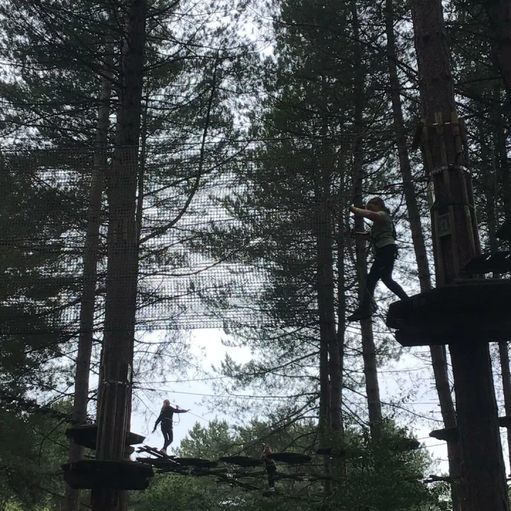 Go Ape