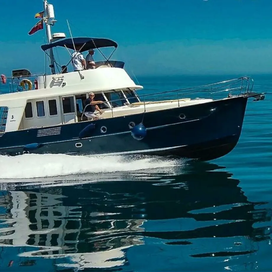 swift56