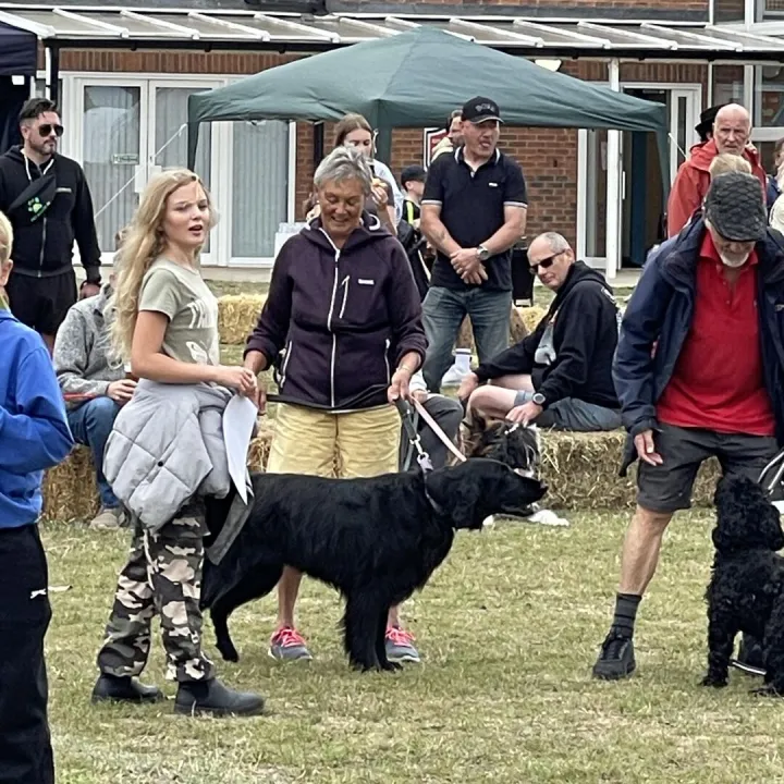 Village fete