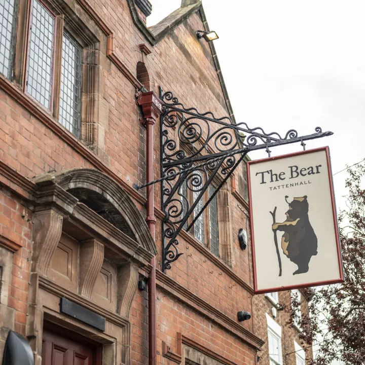 The Bear