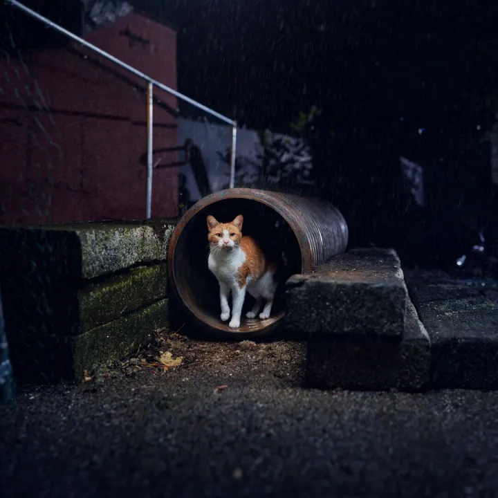 Mrsbaxter_abandoned – Pipe 1_0357