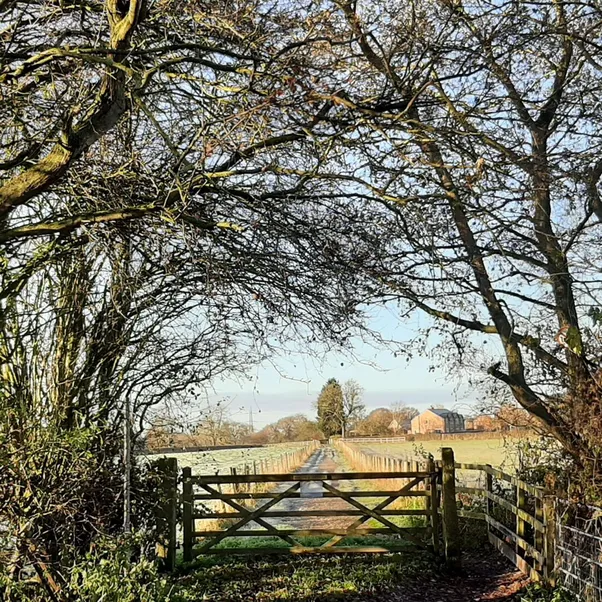 Walk and Talk