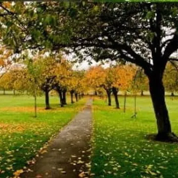Autumn Path