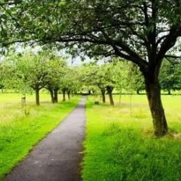 Spring Path