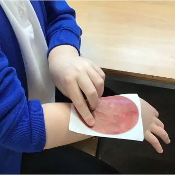 Y3 First Aid