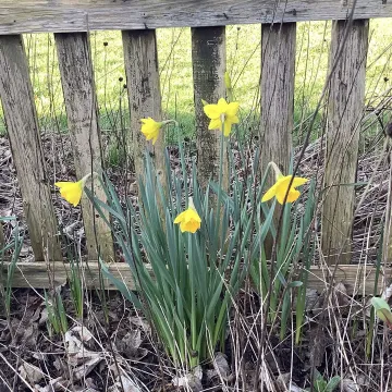 50abfd7f-E935-40a6-Bfa2-5b0418cc931c