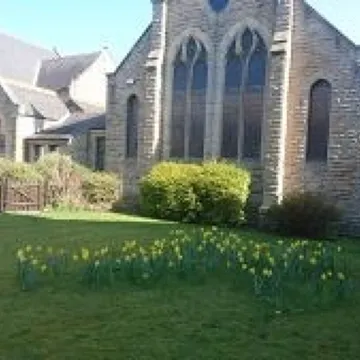 Daffodile Cross in Grass