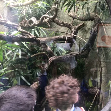 Ae877f8a-082d-445c-9aec-A57d5c7dfbbf