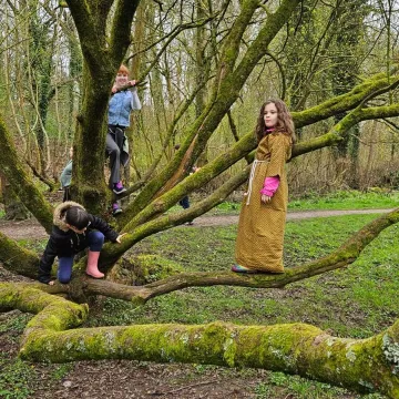 Whatsapp Image 2026-03-23 At 13