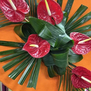 April 8 Flower Club
