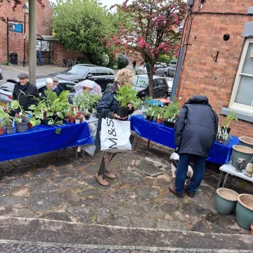 Plant Sale 3