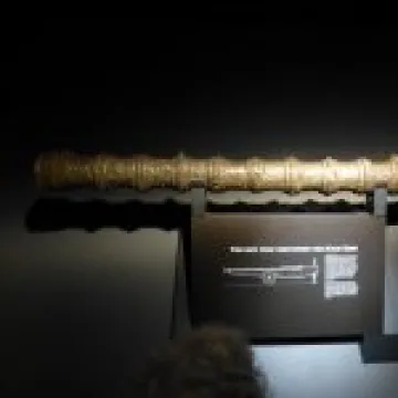 Mary Rose gun
