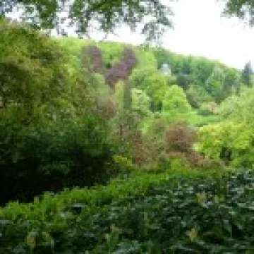 Stourhead gardens