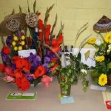 IMG_5332_edited-1 1000