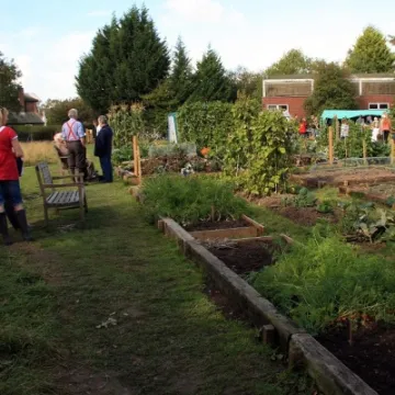 Allotments &ndash; 2