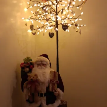 20151221_182910_Burst01_resized