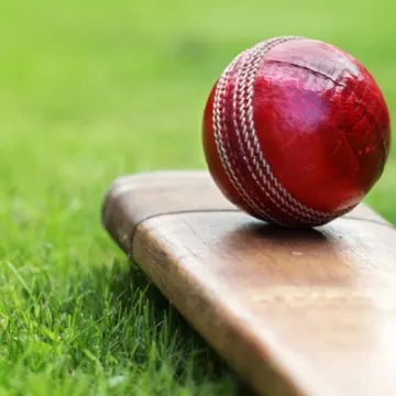 Cricket Image 01