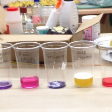 Brownies cabbage juice experiment