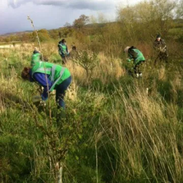 dc802d8c-d5b1-4018-a641-f6036d232dbe