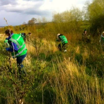 1242821d-7c5e-46a2-bdc4-9589888d9766