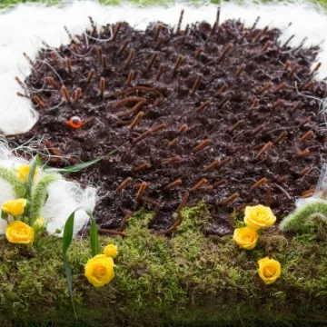 Les Stocker's Funeral 04