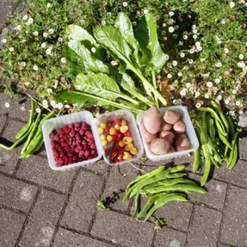 autumn-image-s-gifts-1-M195761