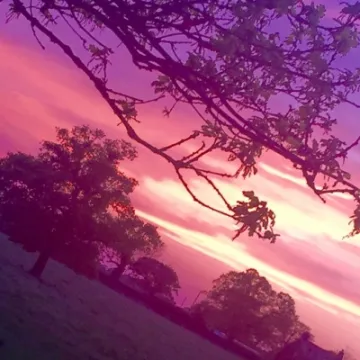 fullsizerender-4-M168848