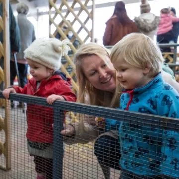 Looking at the Bunnies