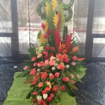 Suva Flowers 6