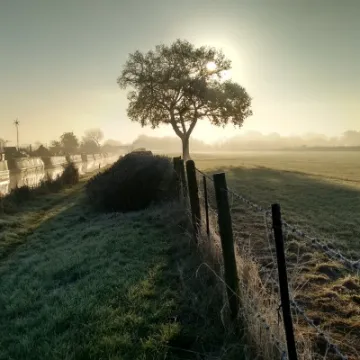 Img_20161125_092828196_hdr (2)