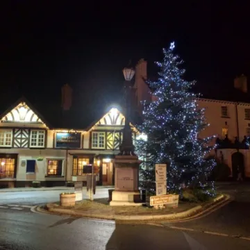 Christmas tree and Lord C