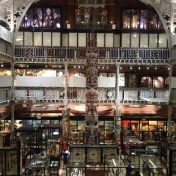 Haida Totem Pole – Pitt Rivers Museum, Oxford