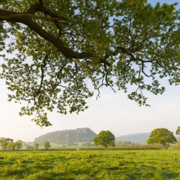 Beeston Castle and Sandstone Ridge Landscape 4