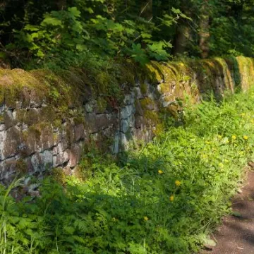 Sandstone Wall, Horsley Lane, Cheshire 2
