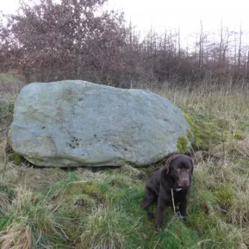 erratic near eddisbury 001