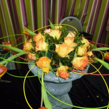 A H & T Flower Club march 2017 P1030204