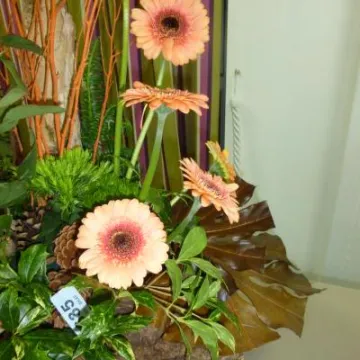 Flower Club April 2017 P1030231