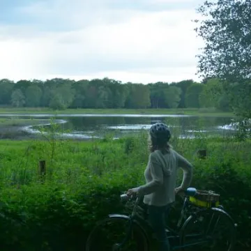 Serenity at Brown Moss
