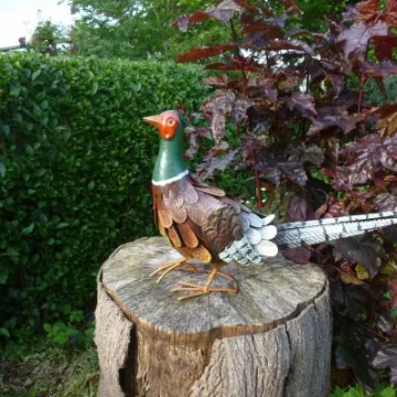 Flower Club June 2017 P1030281