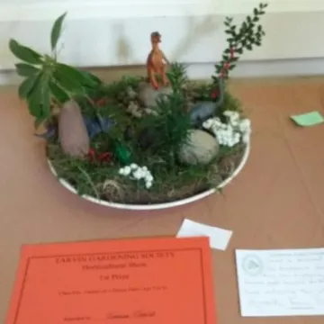 THS Chilrens Exhitibits – The Dinosaur Garden 20170819_150158_resized