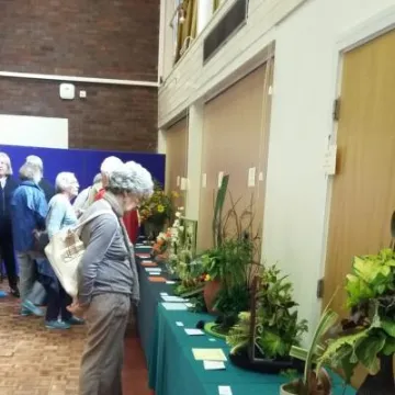 THS 2017 Flower Arranging Exhibits 20170819_150035_resized (1)