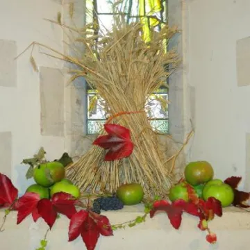 Harvest Display 03