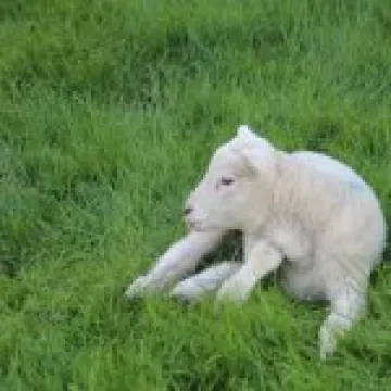 New Life at Minster Abbey