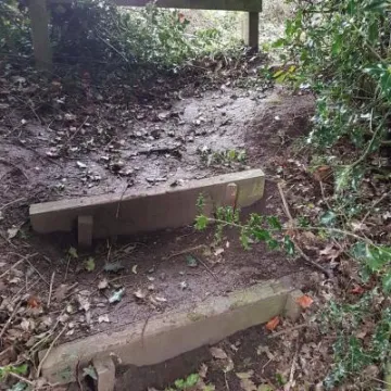 UNADJUSTEDNONRAW_thumb_1735