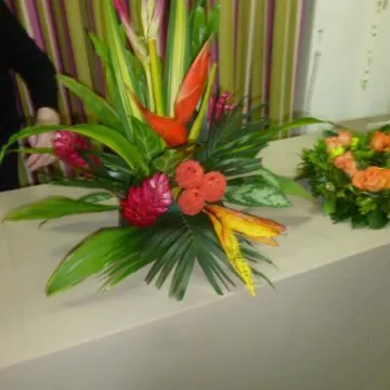 Design 5 Feb 2018 P1030471